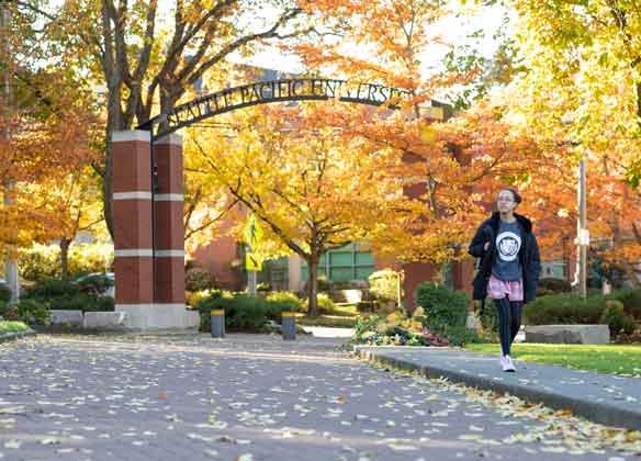 tiffany loop in fall